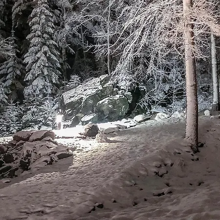 Апартаменты Cozy In Crinitzbergbaerenwalde Barenwalde